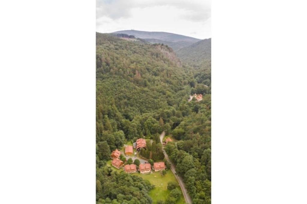 Ferienwohnung Forsthaus Am Brocken, 55 Qm, 2 Schlafzimmer F7 Ilsenburg Esterno foto